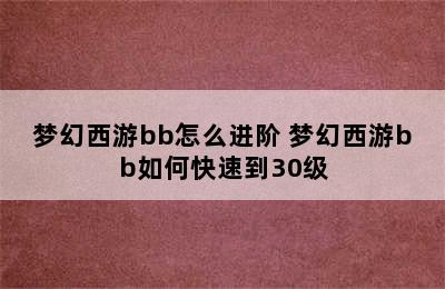 梦幻西游bb怎么进阶 梦幻西游bb如何快速到30级